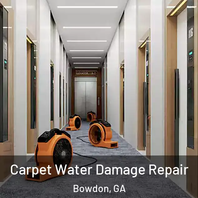 Carpet Water Damage Repair Bowdon, GA
