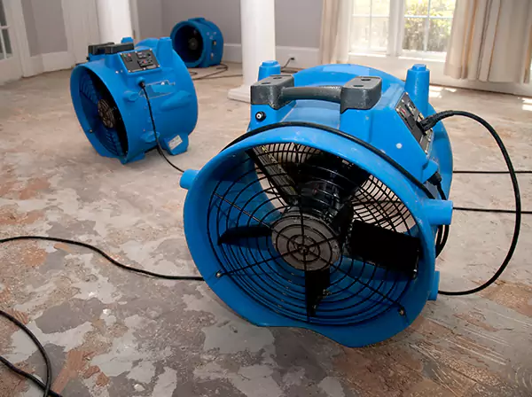Water Damage Reconstruction in Bowdon