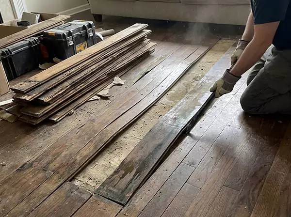 Water Damage Drying in Bowdon