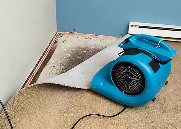 Your Water Damage Experts in Bowdon, GA