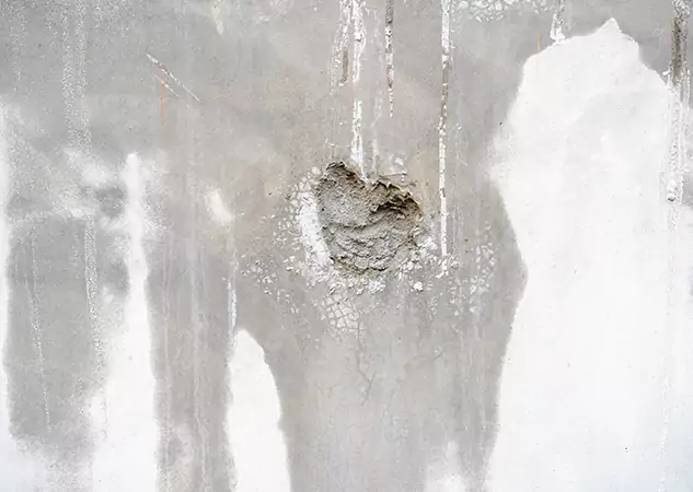 Your Mold Mitigation Solutions Partner in Bowdon, GA