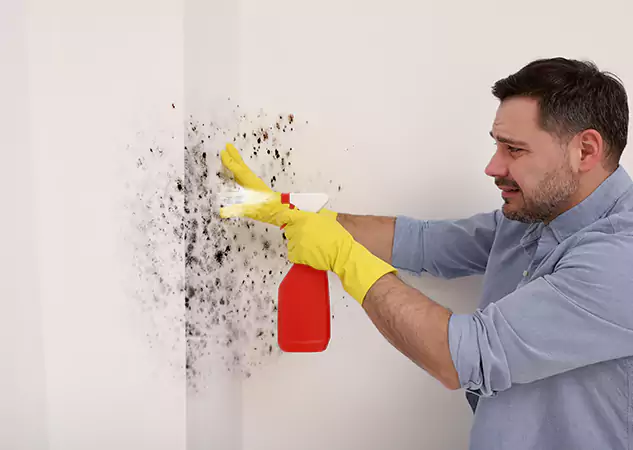 Your Water Mold Fire Restoration Partner in Bowdon, GA