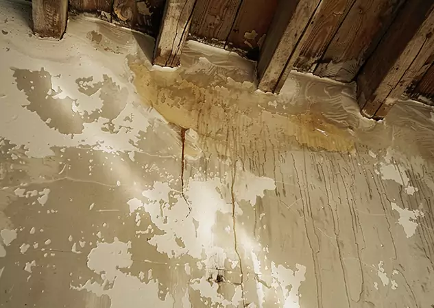 Your Trusted Restoration Company in Bowdon, GA