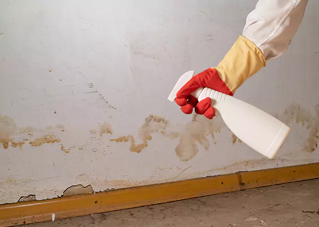 Your Water Restoration and Mold Remediation Specialists in Bowdon, GA