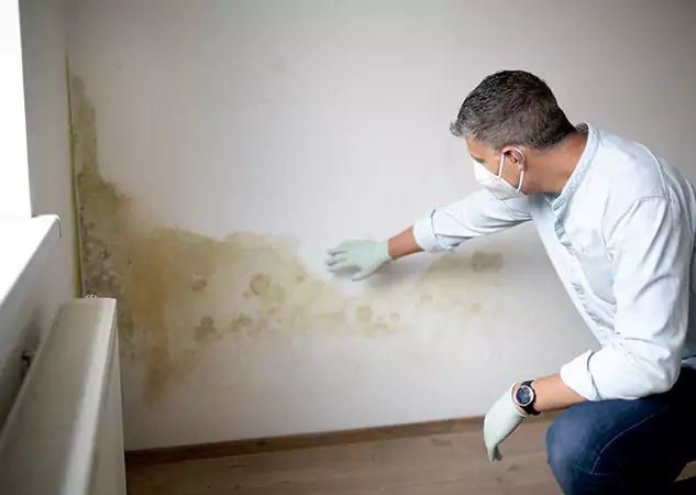Reach Our Remediation Team Before Damage Grows in Bowdon, GA!