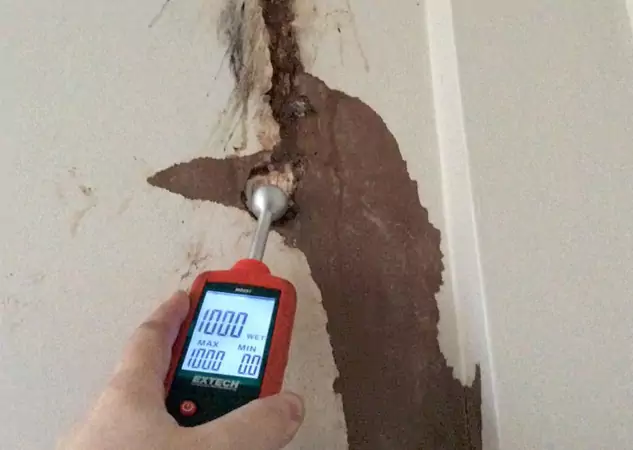 Your Water Damage Assessment Partner in Bowdon, GA