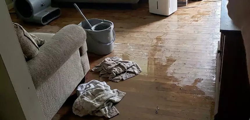 Professional Basement Water Remediation Services in Bowdon, GA
