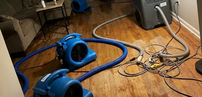 Basement Flood Restoration Services in Bowdon