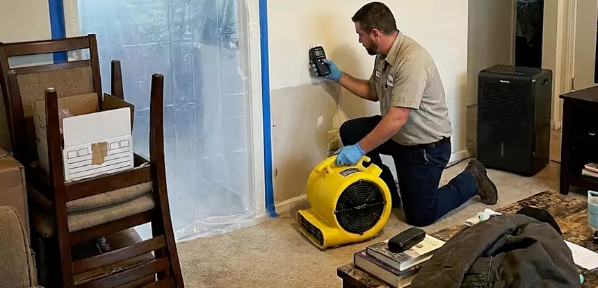 Carpet Water Damage Repair Bowdon