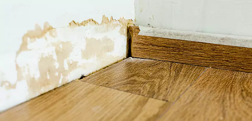 Professional Fix Water Damaged Wood Services in Bowdon, GA