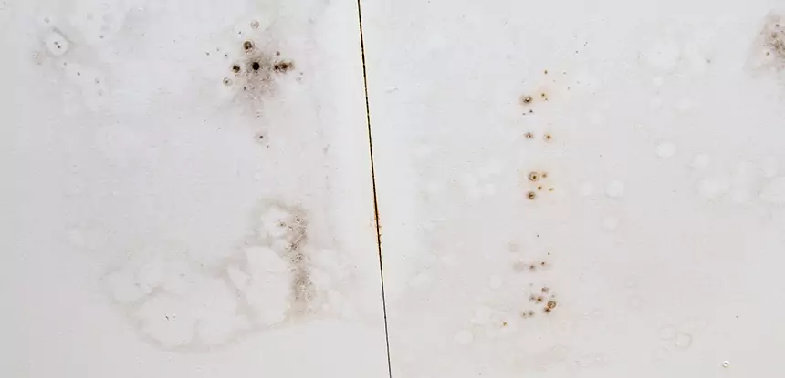 Professional Water Stain Repair Services in Bowdon, GA