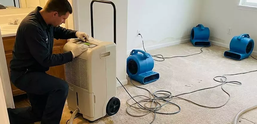 Professional Wet Carpet Removal Services in Bowdon, GA