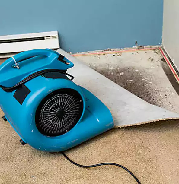 Why Bowdon Trusts Bowdon Restoration Pro for Carpet Flood Recovery?
