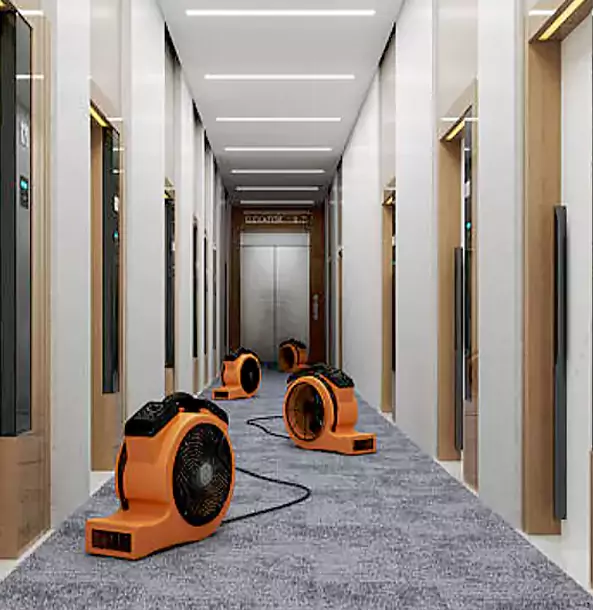 Why Bowdon Trusts Bowdon Restoration Pro?
