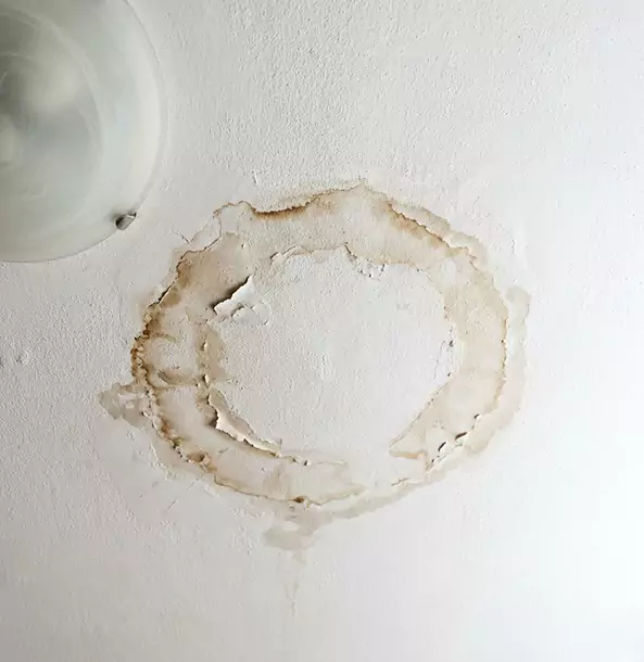 Why Bowdon Property Owners Choose Bowdon Restoration Pro for Ceiling Water Damage Restoration?