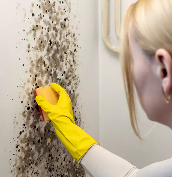 Why Bowdon Restoration Pro Leads Mold Remediation in Bowdon?