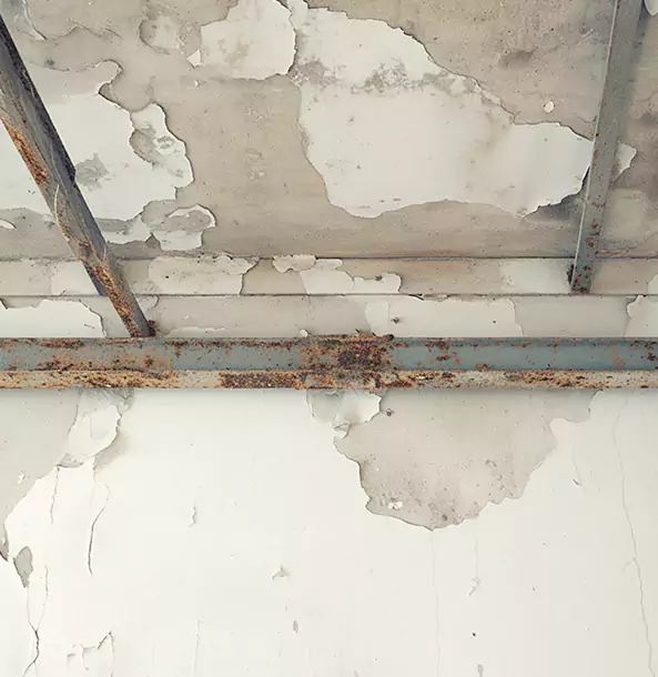 Why Bowdon Restoration Pro Is the Right Choice in Bowdon, GA?