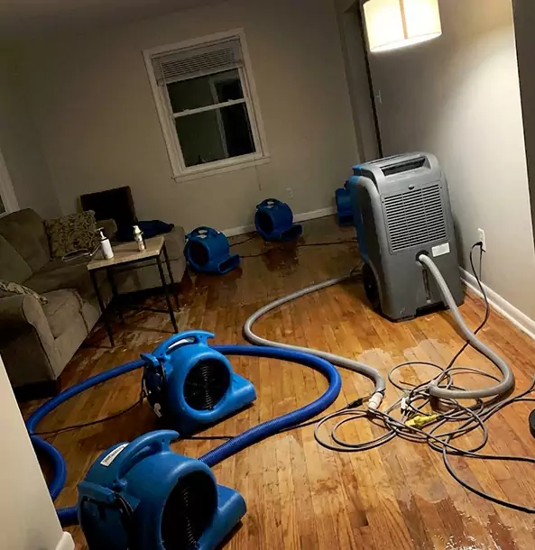 Why Bowdon Property Owners Rely on Bowdon Restoration Pro for Remediation?