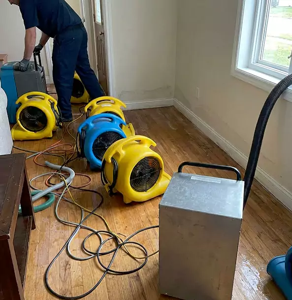 Why Bowdon Property Owners Choose Bowdon Restoration Pro for Remediation?