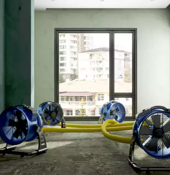 Why Bowdon Property Owners Trust Bowdon Restoration Pro for Water Damage Drying?
