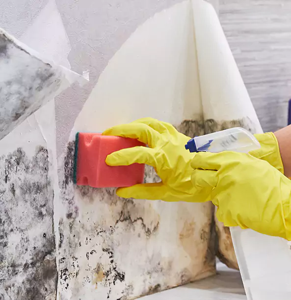 Why Bowdon Trusts Bowdon Restoration Pro for Mold and Water Restoration?