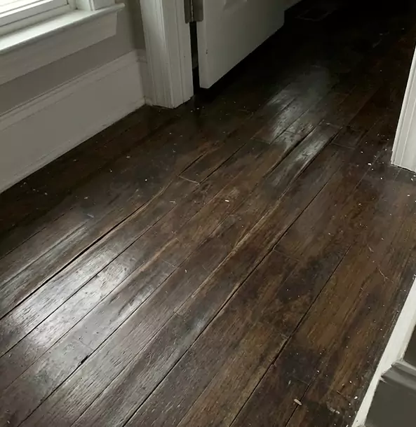 Why Bowdon Homeowners Trust Bowdon Restoration Pro to Fix Water Damaged Wood?