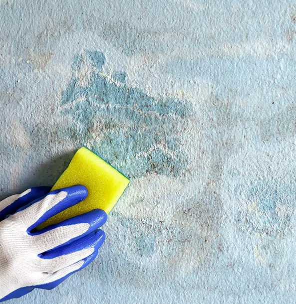 Why Bowdon Restoration Pro Is the Right Choice in Bowdon, GA?