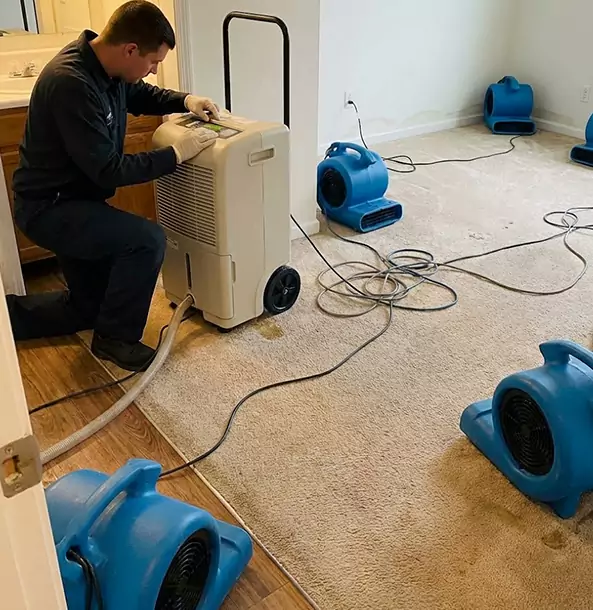 Why Bowdon Homeowners and Businesses Trust Bowdon Restoration Pro for Carpet Drying?