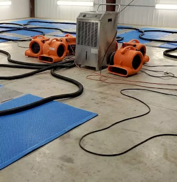 Why Bowdon Homeowners and Businesses Choose Bowdon Restoration Pro for Wet Carpet Removal?