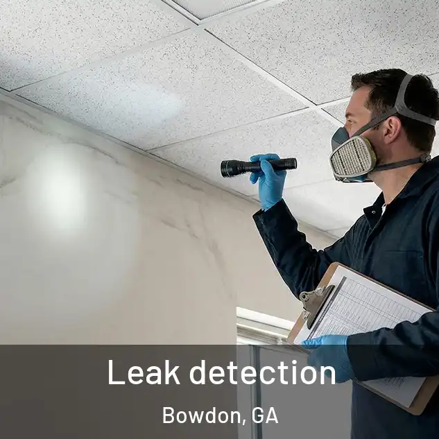  Leak detection Bowdon, GA