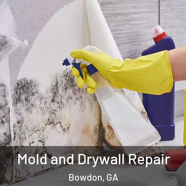  Mold and Drywall Repair Bowdon, GA