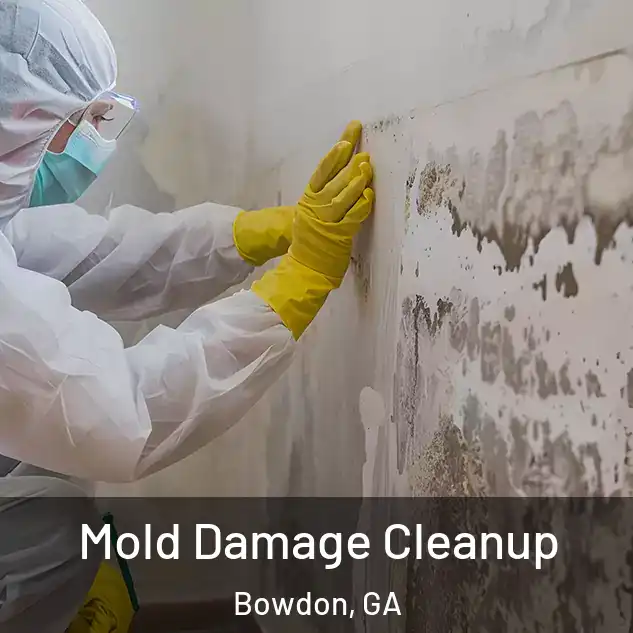  Mold Damage Cleanup Bowdon, GA