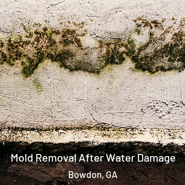  Mold Removal After Water Damage Bowdon, GA