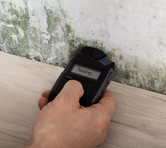 Mold Remediation Service Bowdon