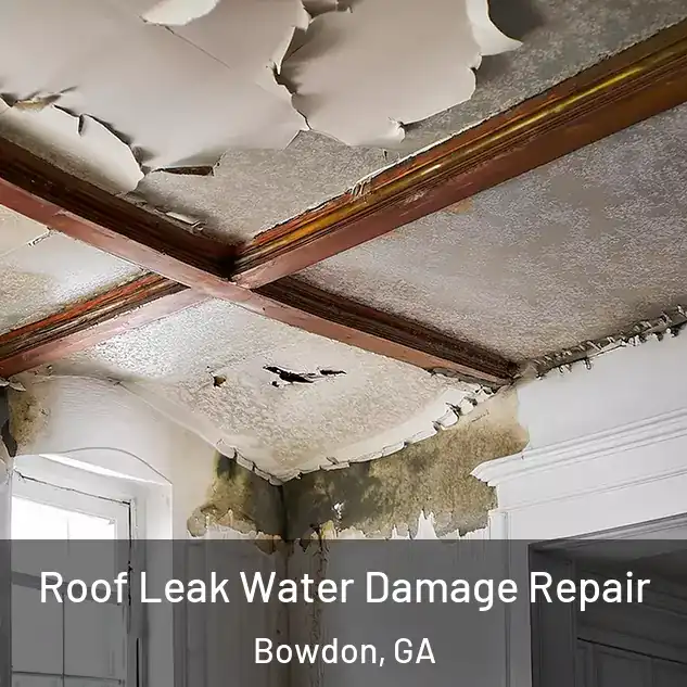  Roof Leak Water Damage Repair Bowdon, GA