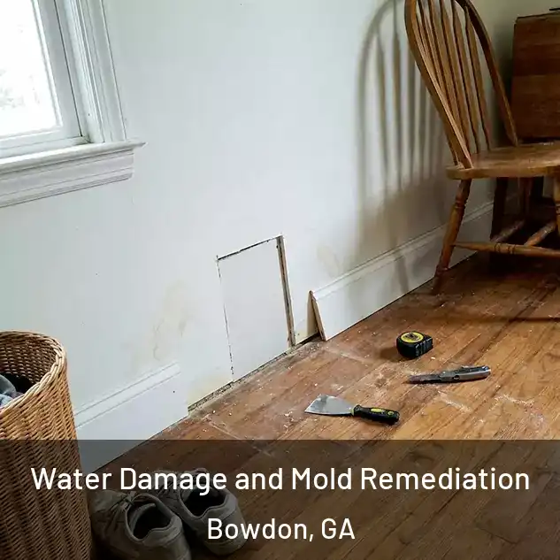  Water Damage and Mold Remediation Bowdon, GA