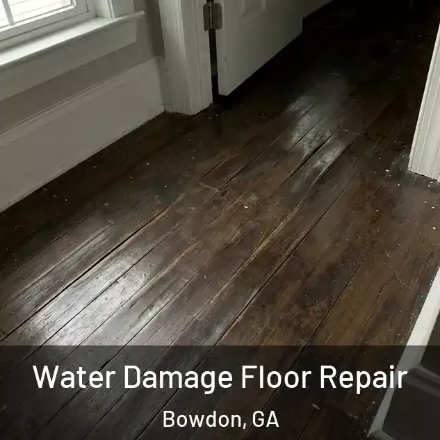  Water Damage Floor Repair Bowdon, GA