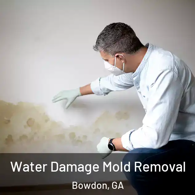  Water Damage Mold Removal Bowdon, GA