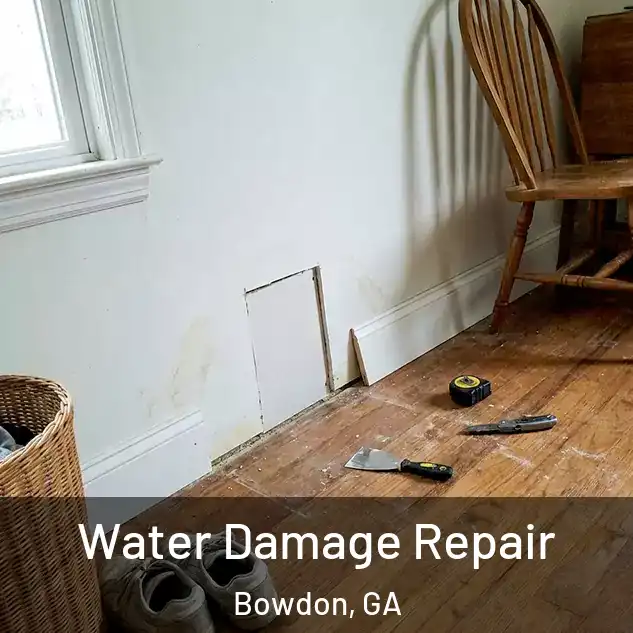  Water Damage Repair Bowdon, GA