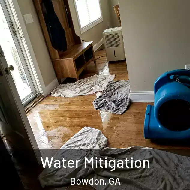  Water Mitigation Bowdon, GA