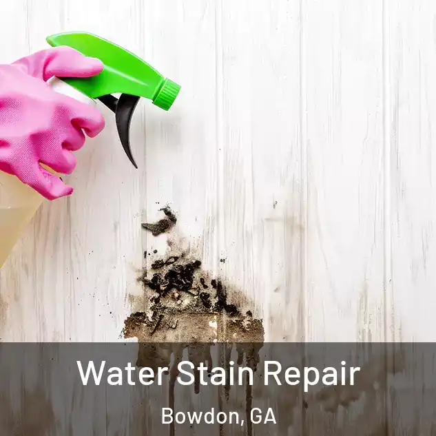  Water Stain Repair Bowdon, GA